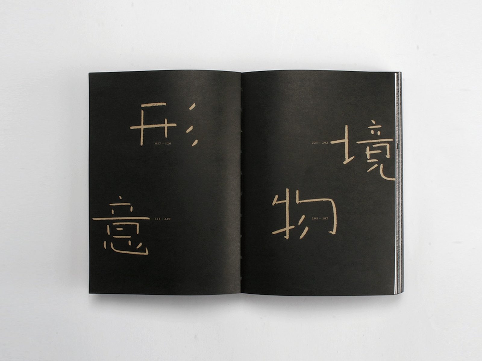 来自洪卫的礼物